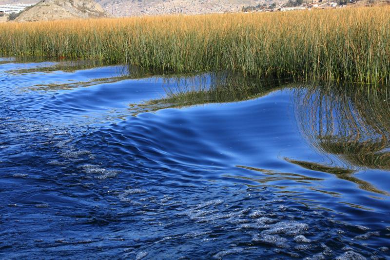 717-Puno,lago Titicaca,13 luglio 2013.JPG